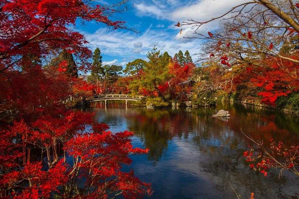 Япония, парк