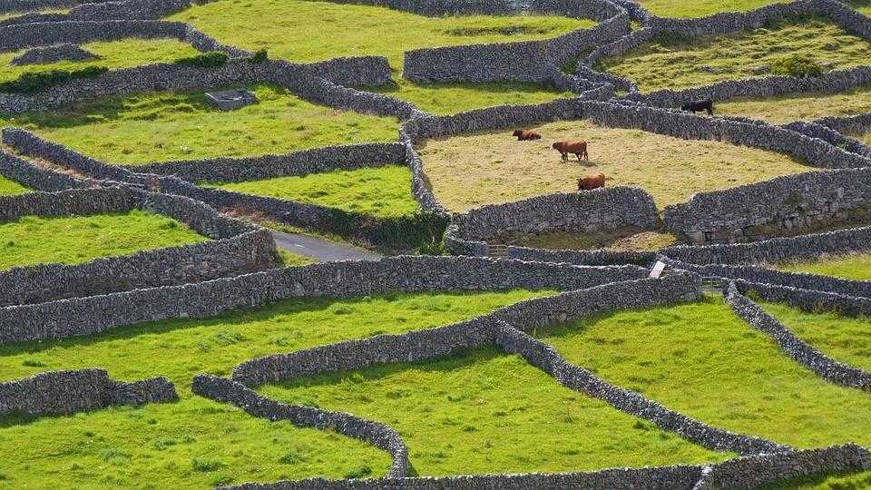 Ирландия, стены